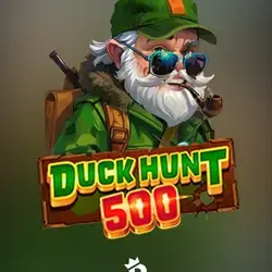 Duck Hunt 500
